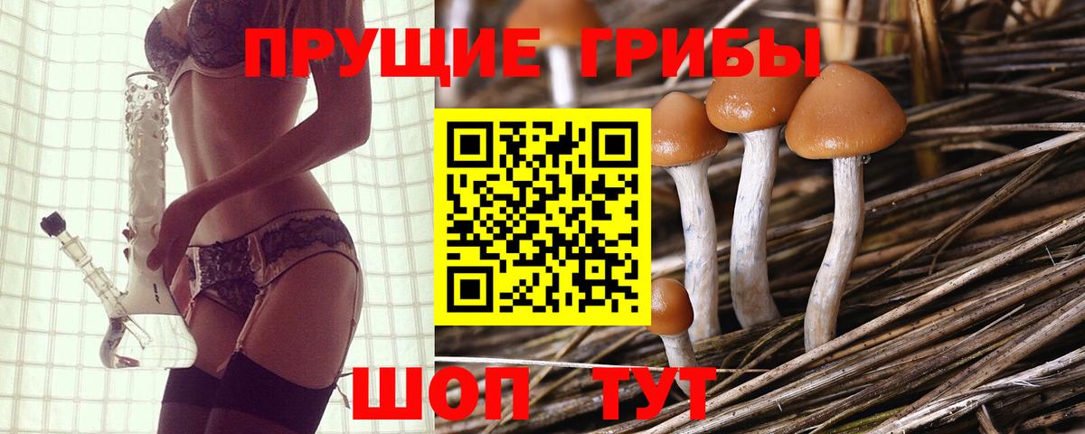 Нарткала  Псилоцибиновые грибы прущие грибы  Галлюциногенные грибы мухоморы  Вход с VPN 